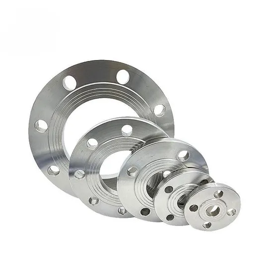 JIS Standard DN25 10K SS304 Stainless Steel Plate Flange