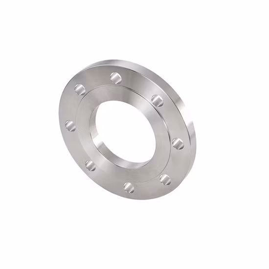 JIS Standard DN25 10K SS304 Stainless Steel Plate Flange