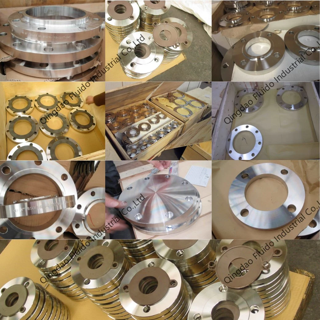 ANSI/DIN/JIS/BS/OEM/Customized Forging Stainless Steel Flanges