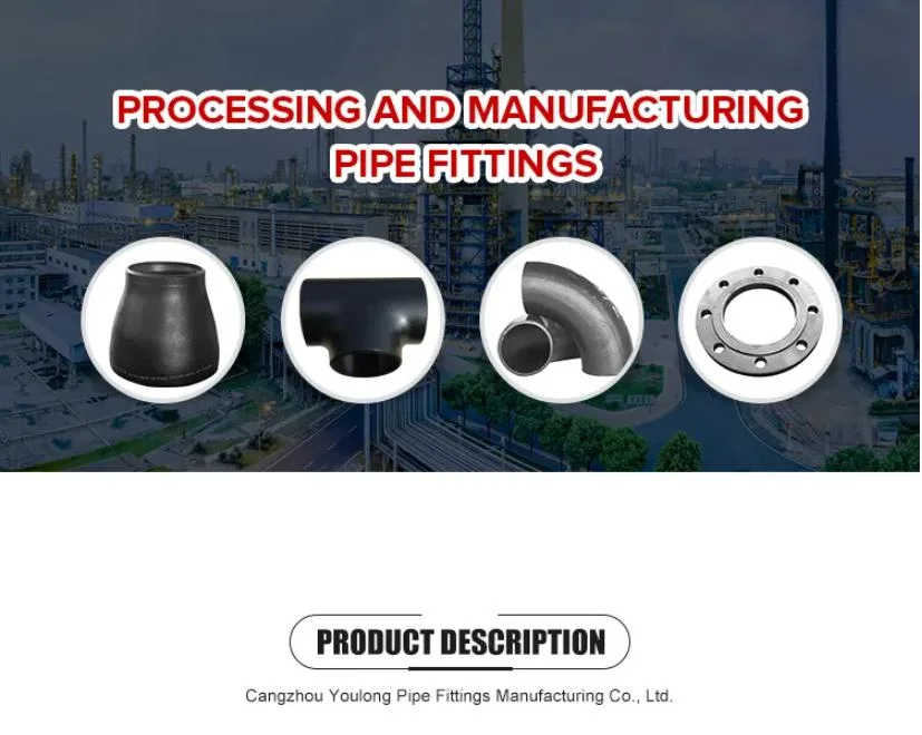 Carbon Steel Pipe Fitting Elbow Stainless Steel Pipe Fitting Elbows