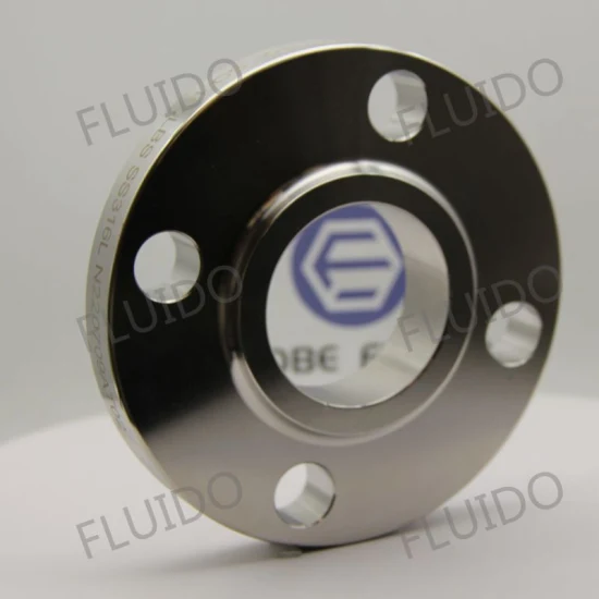 ANSI/DIN/JIS/BS/OEM/Customized Forging Stainless Steel Flanges